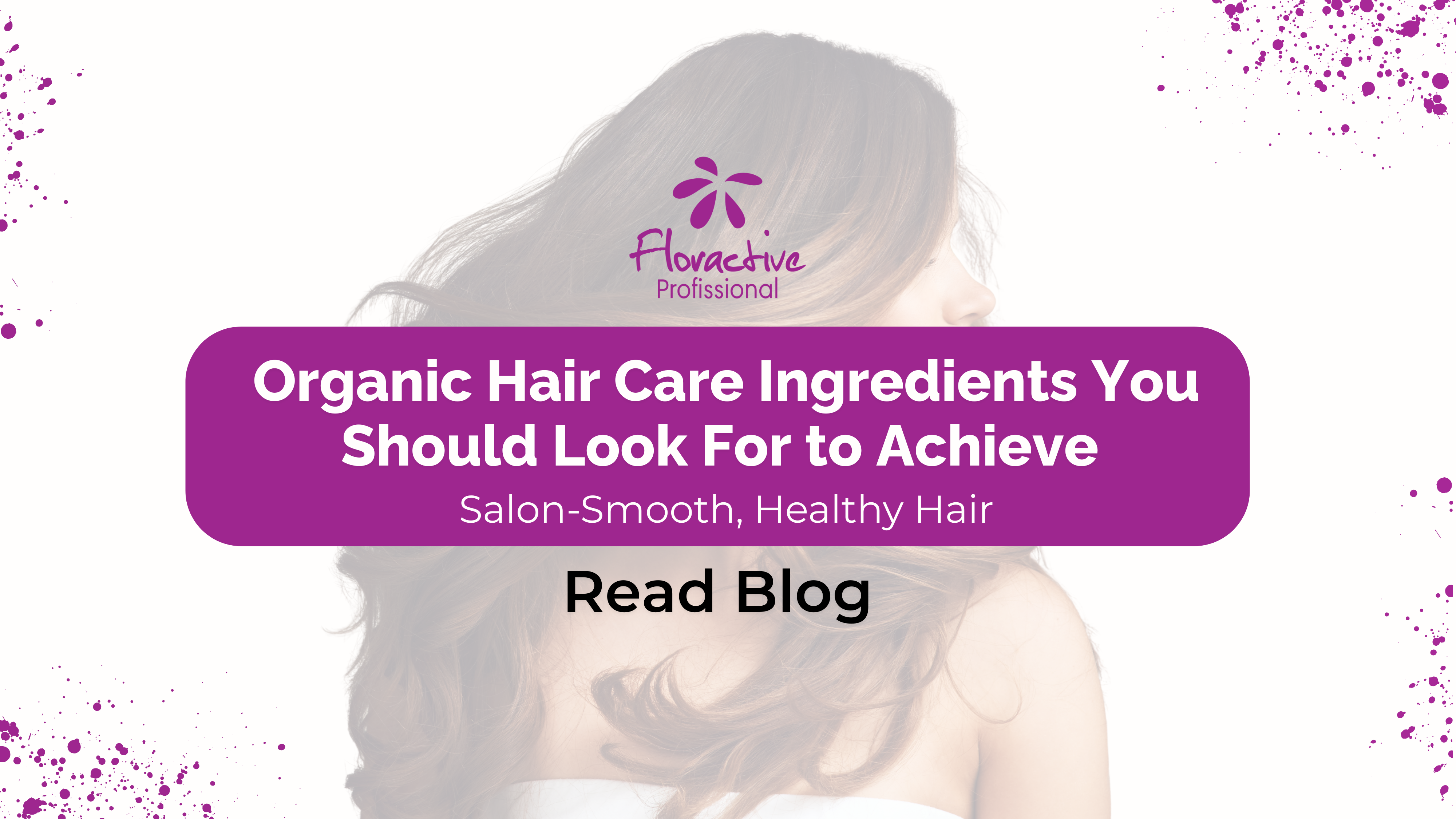 Organic Hair Care Ingredients You Should Look For to Achieve Salon-Smooth, Healthy Hair